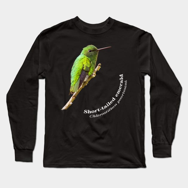 Short-tailed emerald hummingbird against the blue sky Long Sleeve T-Shirt by Ornamentum